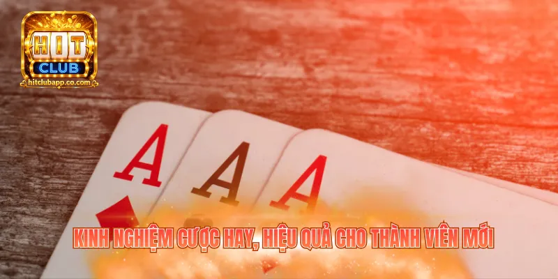 Kinh nghiệm cược hay, hiệu quả cho thành viên mới