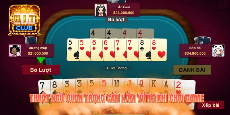 Tiến Lên Đếm Lá Hitclub - Mẹo Đặt Cược Thắng Tới 99% 2 Thuật ngữ quan trọng cần nắm vững khi chơi game